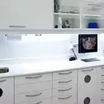Ultra 500 Wall Monitor Mount