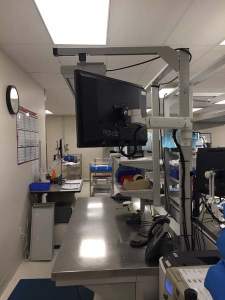 Ultra 180 Wall Monitor Mount