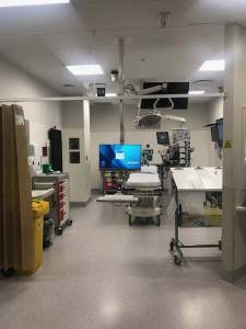 Elite 6220 Ceiling Workstation with 182 Pole Monitor Mount